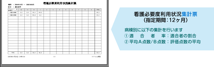 看護必要度利用状況集計票（指定期間：12ヶ月）